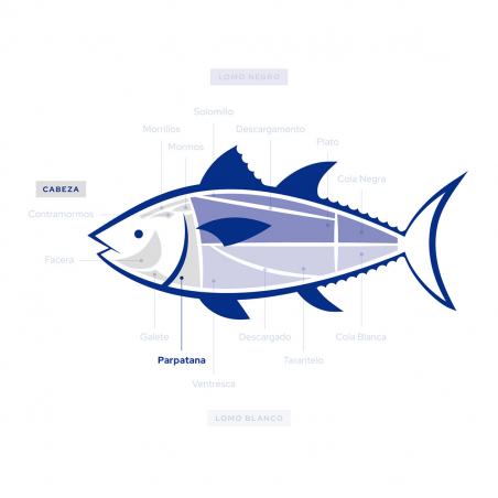Wild Bluefin Tuna Parpatana – Premium Cut from Almadraba