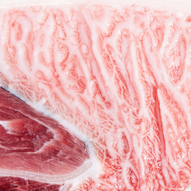 Parpatana de atún rojo salvaje de almadraba | Corte especial