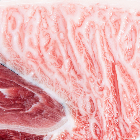 Wild Bluefin Tuna Parpatana – Premium Cut from Almadraba