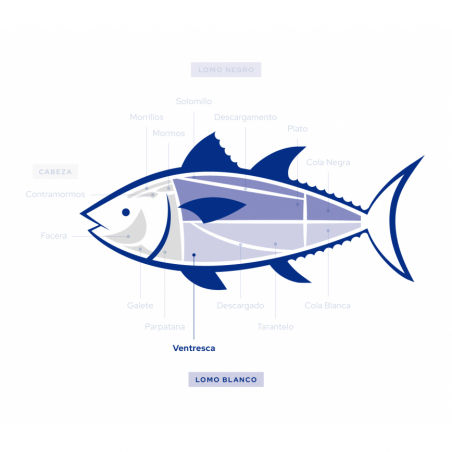 Wild Bluefin Tuna Belly | Ultra-Frozen