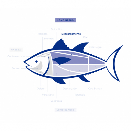 Wild Almadraba Bluefin Tuna Blocks | Perfect for Sushi & Sashimi