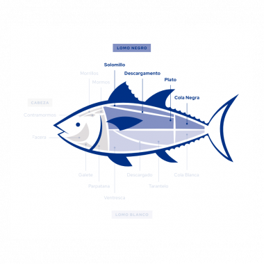 Wild Bluefin Tuna Loin | Ultra-Frozen Sushi &...