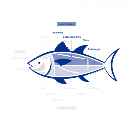 Lomo de atún rojo salvaje de almadraba  | ultracongelado