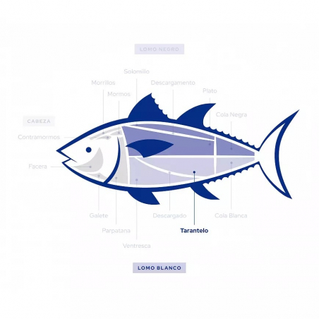 Wild Bluefin Tuna Tarantelo | Ultra-Frozen