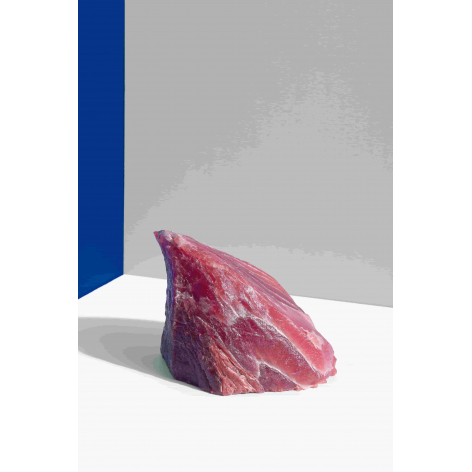 Mormo de atún rojo salvaje de almadraba| ultracongelado