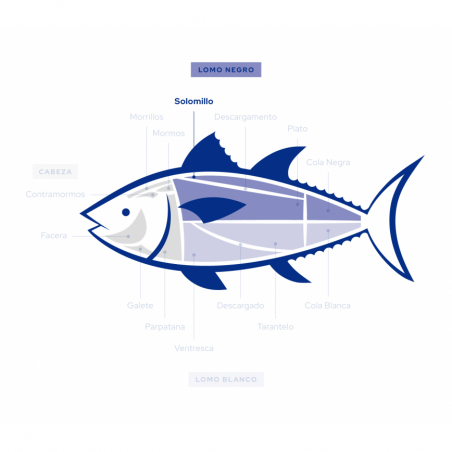 Wild Bluefin Tuna Loin Steak | Flash Frozen