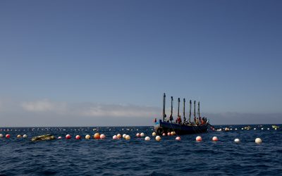 Dónde se pesca el atún rojo salvaje de Gadira