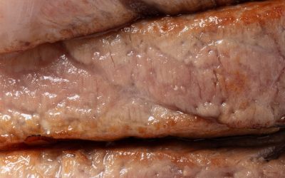 Barbacoa de Atún Rojo Salvaje de Almadraba: Consejos de chef para triunfar en la parrilla